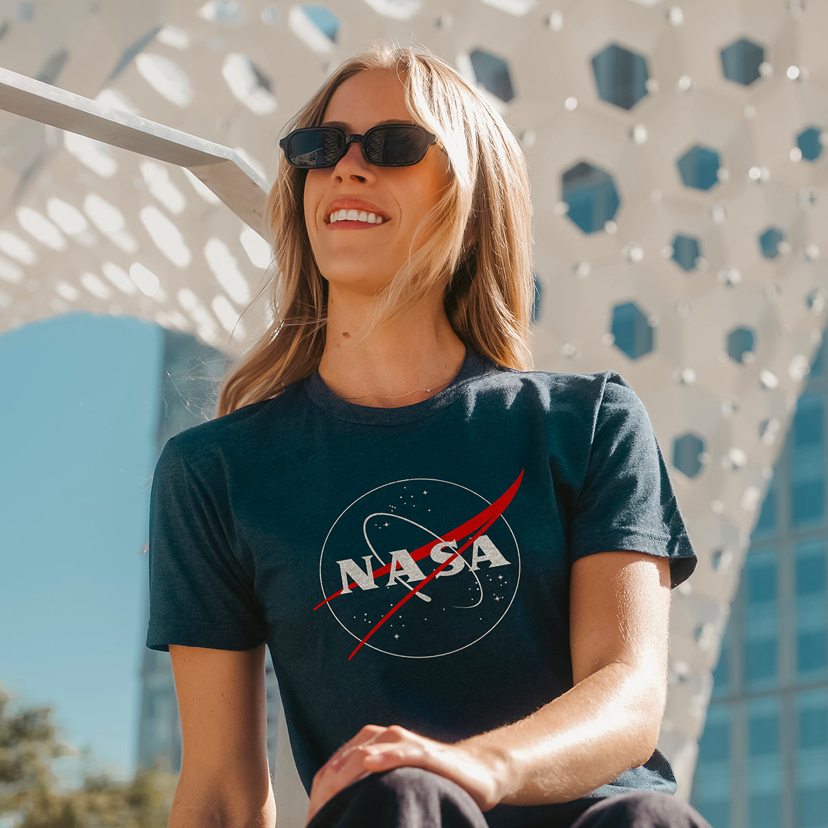 NASA Meatball