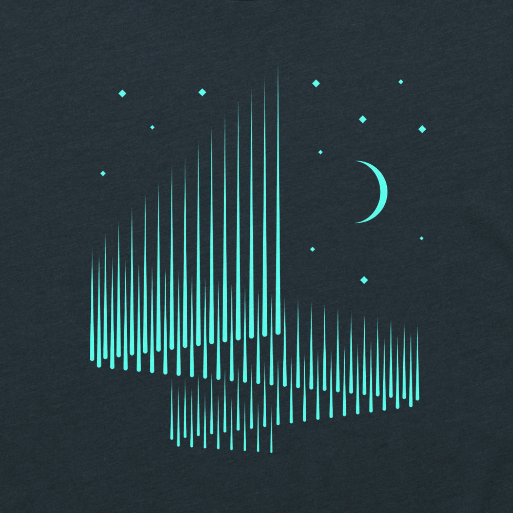 Northern Lights Hoodie