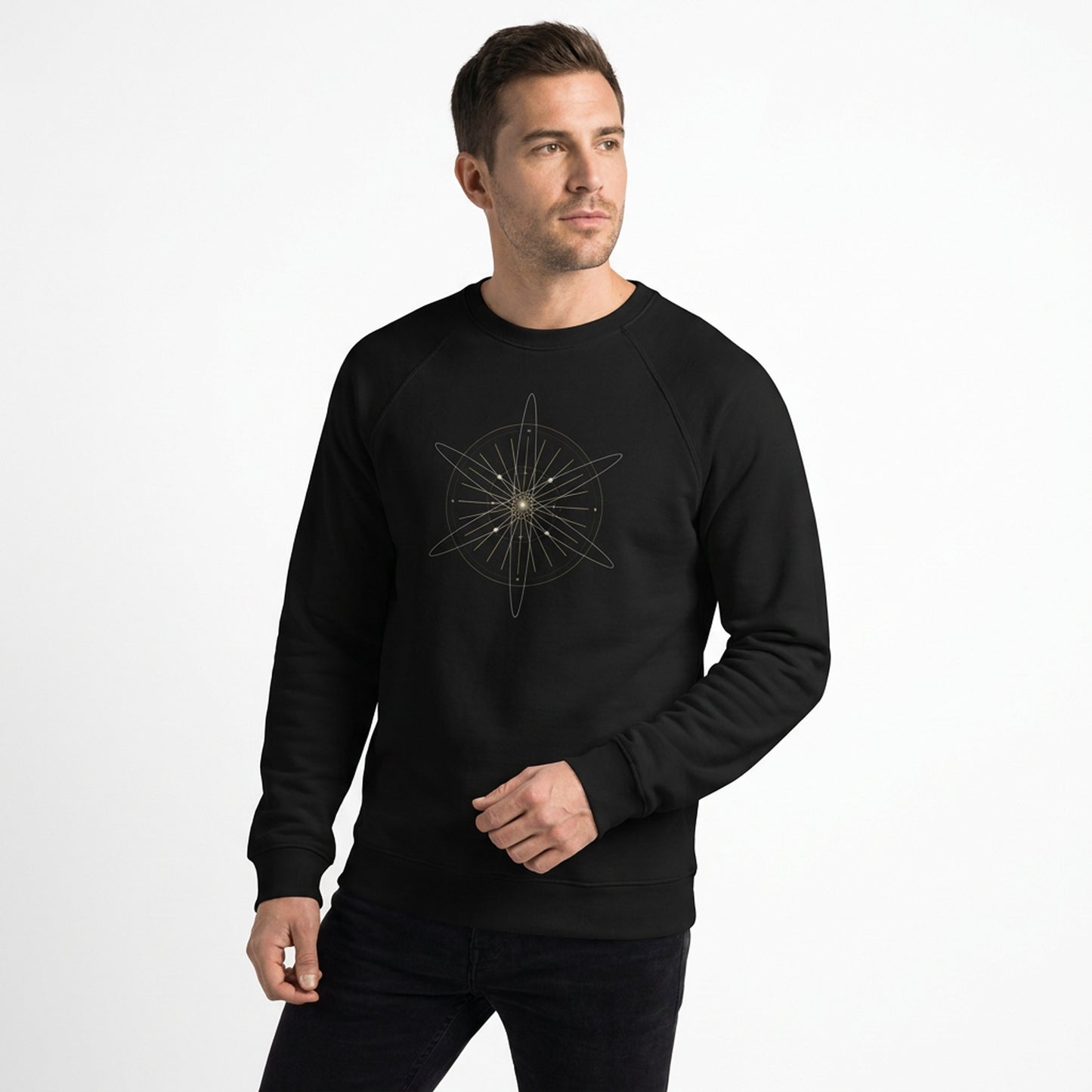 Unified Field Theory Raglan Sweatshirt