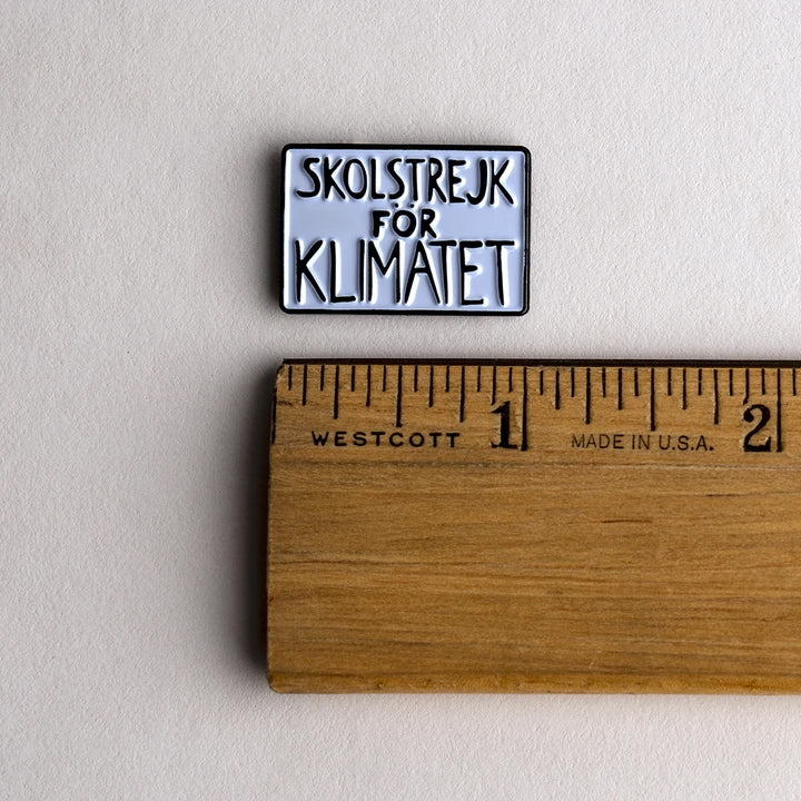School Strike for the Climate protest poster pin