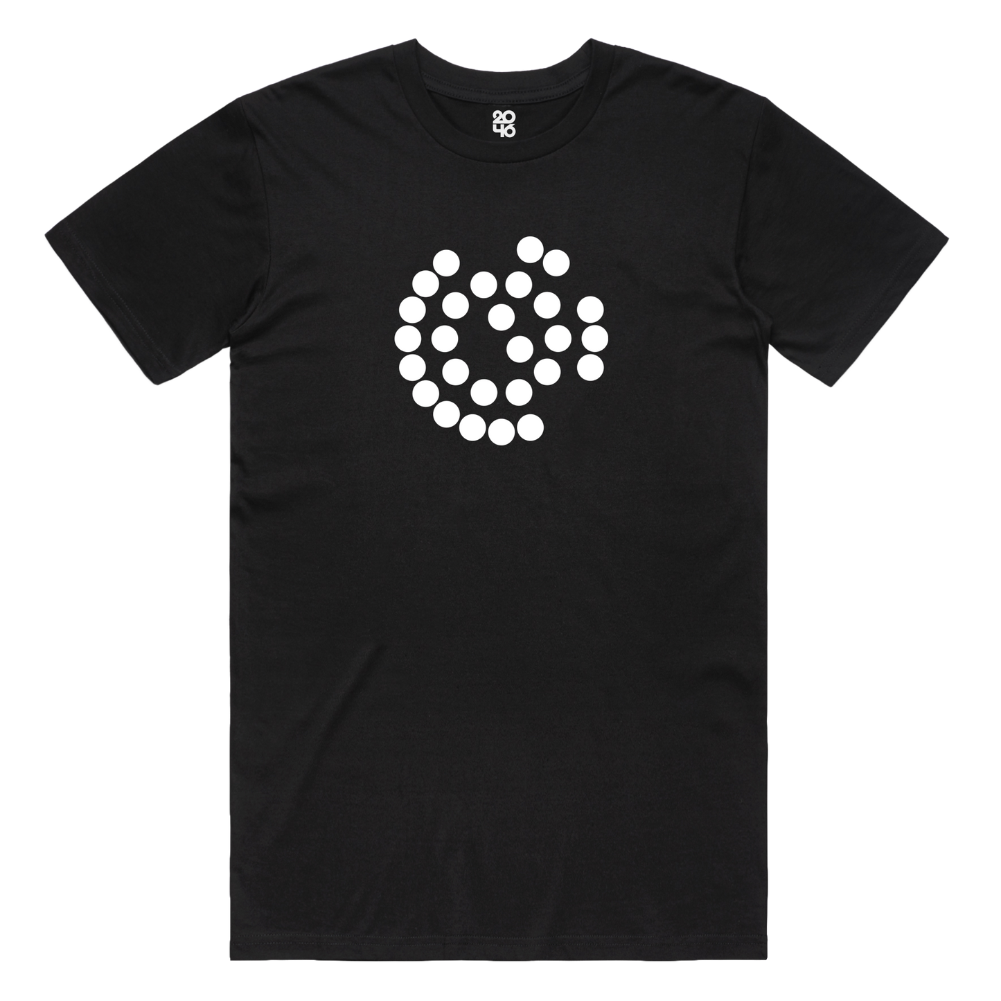 Starship Test Launch