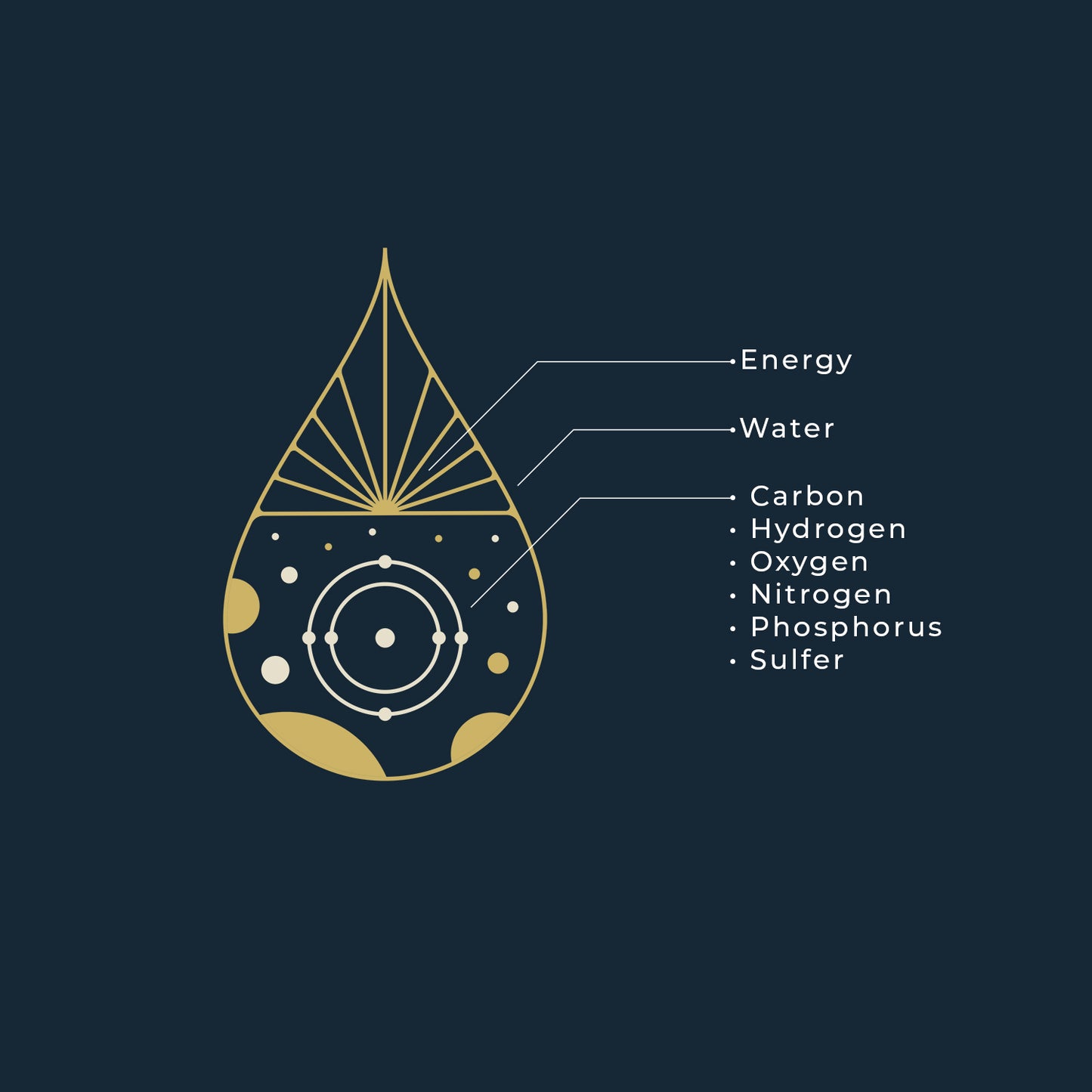 Ingredients for Life