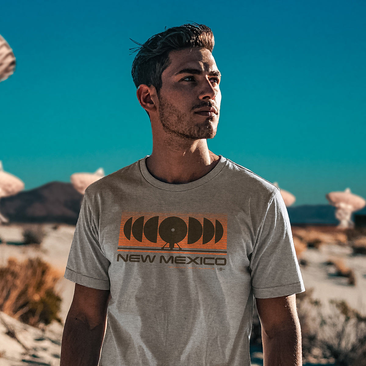 New Mexico - Very Large Array